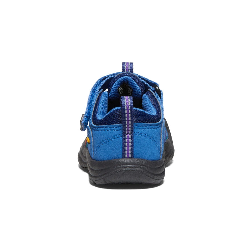 Keen Toddlers' Newport H2SHO | Multi/Bright Cobalt 5 Keen Toddlers' Newport H2SHO | Multi/Bright Cobalt - Image 5