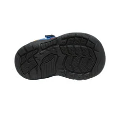 Keen Toddlers' Newport H2SHO | Multi/Bright Cobalt 11 Keen Toddlers' Newport H2SHO | Multi/Bright Cobalt -Shoe Boutique Shop 0f9ee6253f57862281132f6947140b18015f43b1