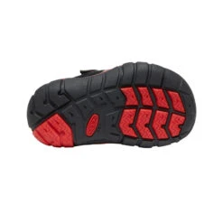 Keen Toddlers' Chandler 2 CNX Sneaker | Black/Red Carpet -Shoe Boutique Shop 85e2ecafff00b4c38f5187b24bd31eb0bde76524