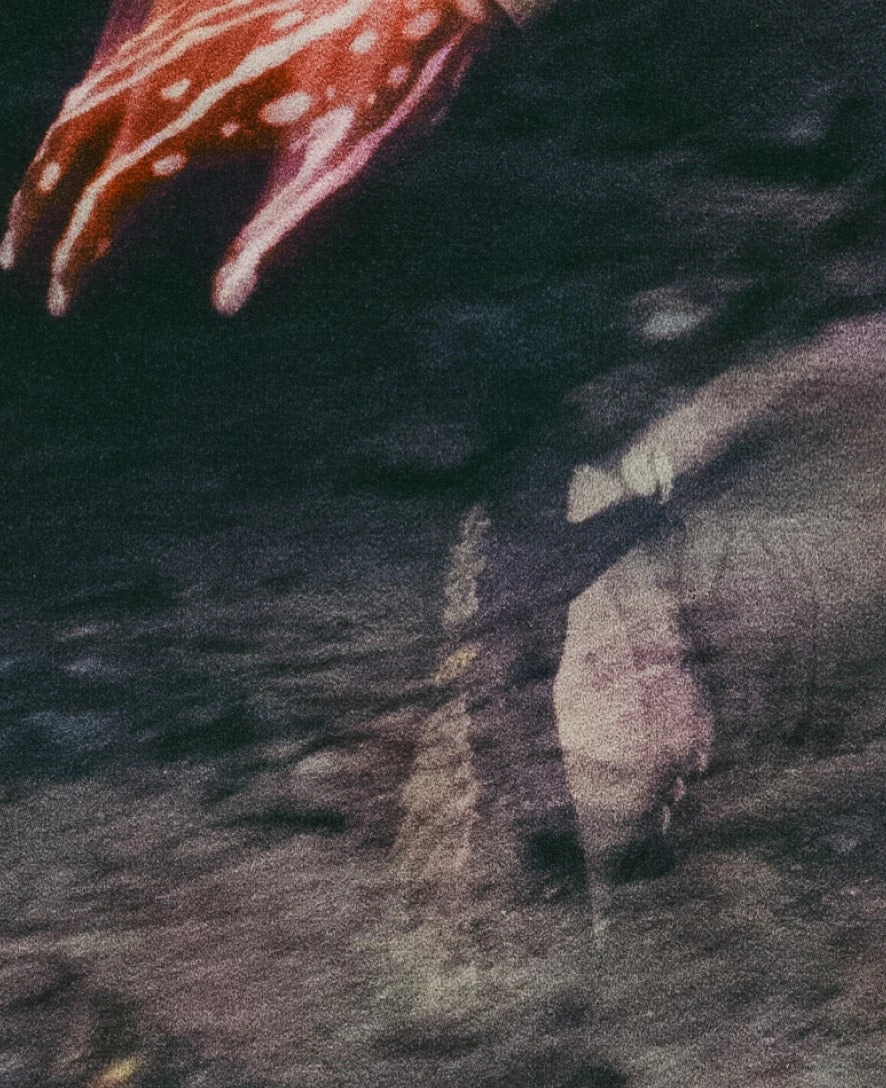 Keen Women's Jasper Rocks Sneaker X Hiking Patrol | Cuban Beige 8 Keen Women's Jasper Rocks Sneaker X Hiking Patrol | Cuban Beige - Image 8