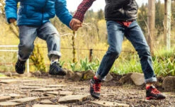 Keen Little Kids' Chandler 2 CNX Sneaker | Festival Fuchsia/Ibis Rose 15 Keen Little Kids' Chandler 2 CNX Sneaker | Festival Fuchsia/Ibis Rose -Shoe Boutique Shop KidsChandler2Lifestyle1 4c6f9670 5987 4933 ae2a c7df21575131